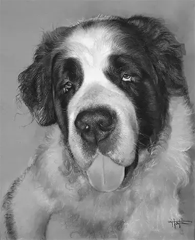 Ofrezca un retrato a partir de una fotografía