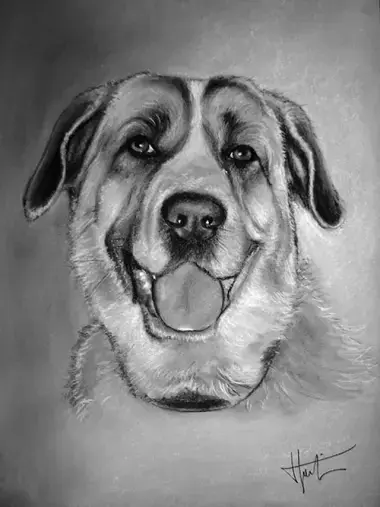 Retratos de animales
